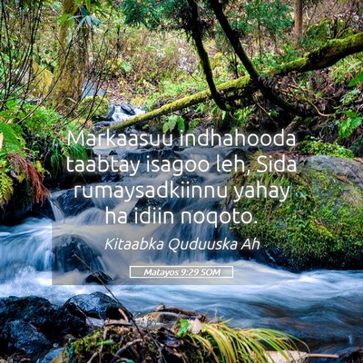Picture 05 - Matayos 9:29 SOM - Markaasuu indhahooda taabtay isagoo leh, Sida - Bible Verse Picture