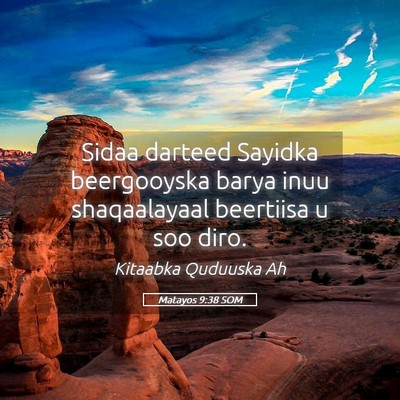 Picture 05 - Matayos 9:38 SOM - Sidaa darteed Sayidka beergooyska barya inuu - Bible Verse Picture