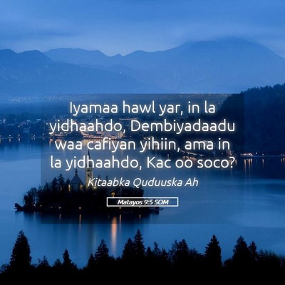 Picture 05 - Matayos 9:5 SOM - Iyamaa hawl yar, in la yidhaahdo, Dembiyadaadu - Bible Verse Picture