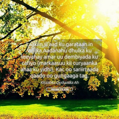 Picture 05 - Matayos 9:6 SOM - Laakiin si aad ku garataan in Wiilka Aadanahu - Bible Verse Picture