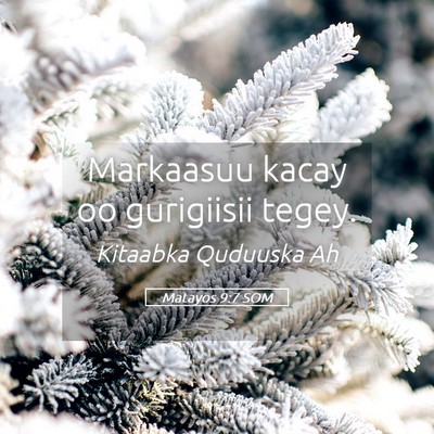 Picture 05 - Matayos 9:7 SOM - Markaasuu kacay oo gurigiisii - Bible Verse Picture