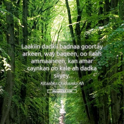 Picture 05 - Matayos 9:8 SOM - Laakiin dadkii badnaa goortay arkeen, way baqeen, - Bible Verse Picture