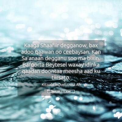 Picture 05 - Miikaah 1:11 SOM - Kaaga Shaafiir degganow, bax adoo qaawan oo - Bible Verse Picture