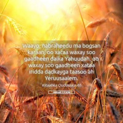 Picture 05 - Miikaah 1:9 SOM - Waayo, nabraheedu ma bogsan karaan, oo xataa - Bible Verse Picture