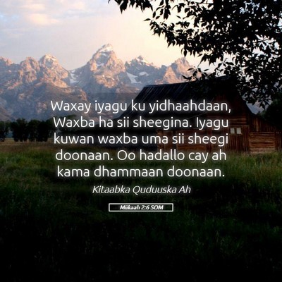 Picture 05 - Miikaah 2:6 SOM - Waxay iyagu ku yidhaahdaan, Waxba ha sii - Bible Verse Picture
