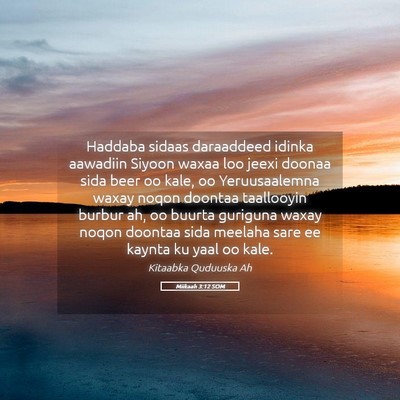 Picture 05 - Miikaah 3:12 SOM - Haddaba sidaas daraaddeed idinka aawadiin Siyoon - Bible Verse Picture