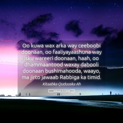Picture 05 - Miikaah 3:7 SOM - Oo kuwa wax arka way ceeboobi doonaan, oo - Bible Verse Picture