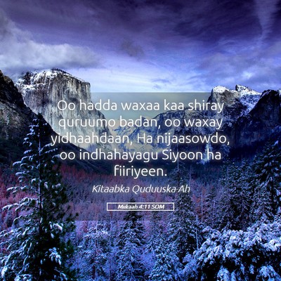 Picture 05 - Miikaah 4:11 SOM - Oo hadda waxaa kaa shiray quruumo badan, oo waxay - Bible Verse Picture