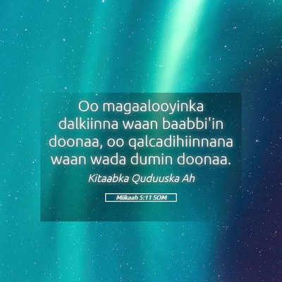 Picture 05 - Miikaah 5:11 SOM - Oo magaalooyinka dalkiinna waan baabbi'in doonaa, - Bible Verse Picture