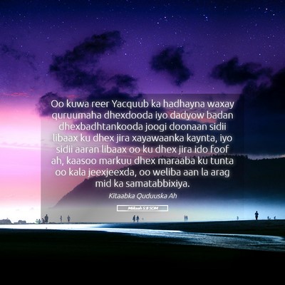 Picture 05 - Miikaah 5:8 SOM - Oo kuwa reer Yacquub ka hadhayna waxay quruumaha - Bible Verse Picture