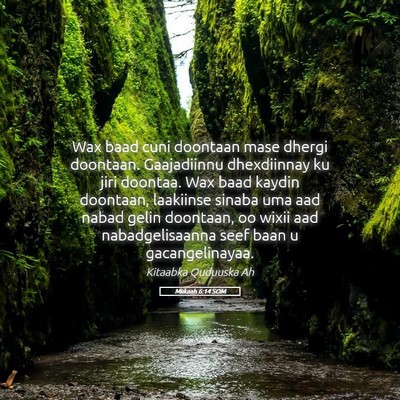 Picture 05 - Miikaah 6:14 SOM - Wax baad cuni doontaan mase dhergi doontaan. - Bible Verse Picture