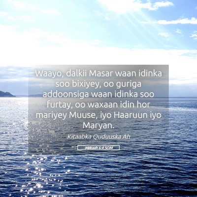 Picture 05 - Miikaah 6:4 SOM - Waayo, dalkii Masar waan idinka soo bixiyey, oo - Bible Verse Picture