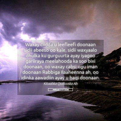 Picture 05 - Miikaah 7:17 SOM - Waxay ciidda u leefleefi doonaan sidii abeeso oo - Bible Verse Picture