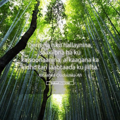 Picture 05 - Miikaah 7:5 SOM - Deris ha isku hallaynina, saaxiibna ha ku - Bible Verse Picture
