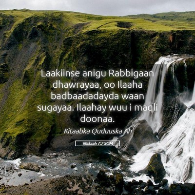 Picture 05 - Miikaah 7:7 SOM - Laakiinse anigu Rabbigaan dhawrayaa, oo Ilaaha - Bible Verse Picture