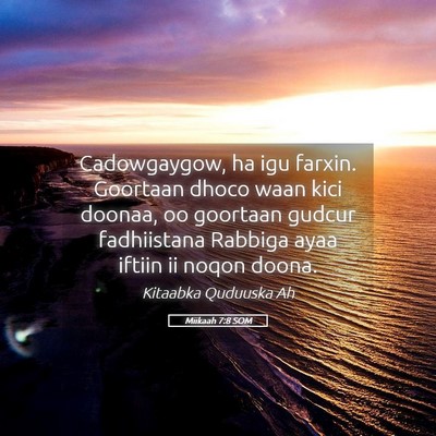 Picture 05 - Miikaah 7:8 SOM - Cadowgaygow, ha igu farxin. Goortaan dhoco waan - Bible Verse Picture