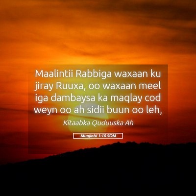 Picture 05 - Muujintii 1:10 SOM - Maalintii Rabbiga waxaan ku jiray Ruuxa, oo - Bible Verse Picture