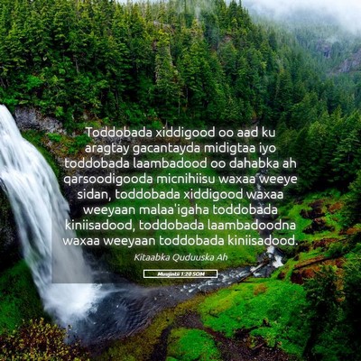 Picture 05 - Muujintii 1:20 SOM - Toddobada xiddigood oo aad ku aragtay gacantayda - Bible Verse Picture