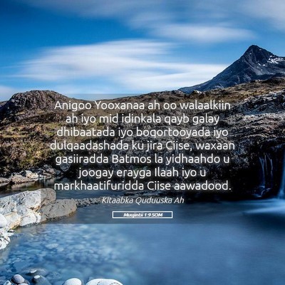 Picture 05 - Muujintii 1:9 SOM - Anigoo Yooxanaa ah oo walaalkiin ah iyo mid - Bible Verse Picture