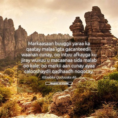 Picture 05 - Muujintii 10:10 SOM - Markaasaan buuggii yaraa ka qaatay malaa'igta - Bible Verse Picture