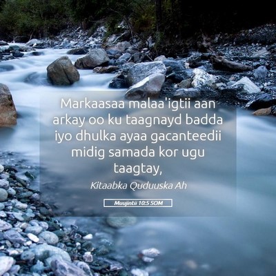 Picture 05 - Muujintii 10:5 SOM - Markaasaa malaa'igtii aan arkay oo ku taagnayd - Bible Verse Picture