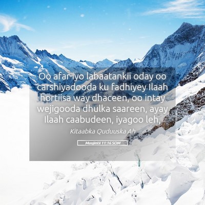 Picture 05 - Muujintii 11:16 SOM - Oo afar iyo labaatankii oday oo carshiyadooda ku - Bible Verse Picture