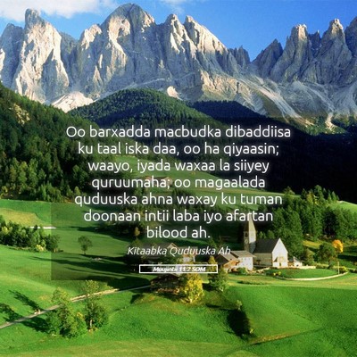 Picture 05 - Muujintii 11:2 SOM - Oo barxadda macbudka dibaddiisa ku taal iska daa, - Bible Verse Picture