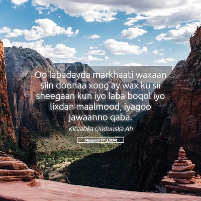 Picture 05 - Muujintii 11:3 SOM - Oo labadayda markhaati waxaan siin doonaa xoog ay - Bible Verse Picture