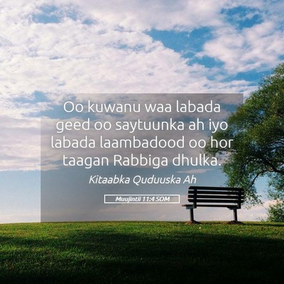 Picture 05 - Muujintii 11:4 SOM - Oo kuwanu waa labada geed oo saytuunka ah iyo - Bible Verse Picture