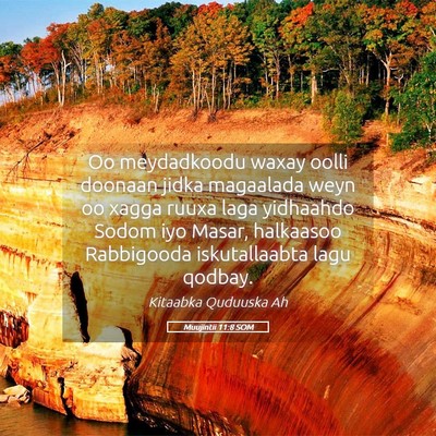 Picture 05 - Muujintii 11:8 SOM - Oo meydadkoodu waxay oolli doonaan jidka - Bible Verse Picture