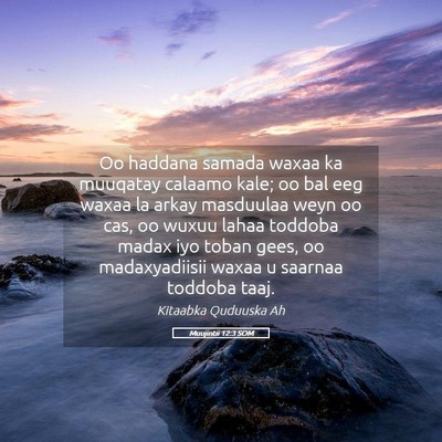 Picture 05 - Muujintii 12:3 SOM - Oo haddana samada waxaa ka muuqatay calaamo kale; - Bible Verse Picture