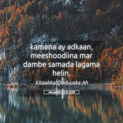 Picture 05 - Muujintii 12:8 SOM - kamana ay adkaan, meeshoodiina mar dambe samada - Bible Verse Picture