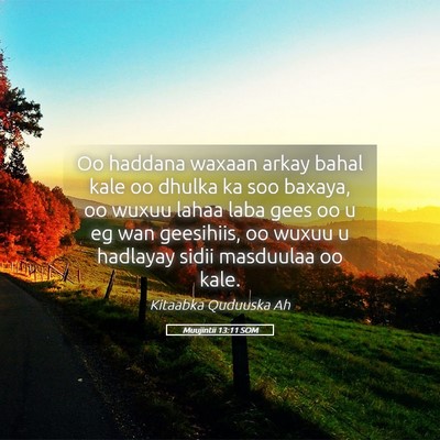Picture 05 - Muujintii 13:11 SOM - Oo haddana waxaan arkay bahal kale oo dhulka ka - Bible Verse Picture