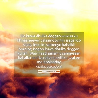 Picture 05 - Muujintii 13:14 SOM - Oo kuwa dhulka deggan wuxuu ku khiyaaneeyey - Bible Verse Picture