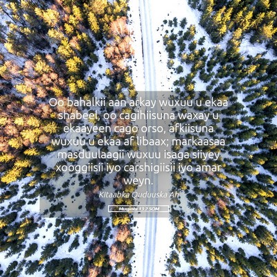 Picture 05 - Muujintii 13:2 SOM - Oo bahalkii aan arkay wuxuu u ekaa shabeel, oo - Bible Verse Picture