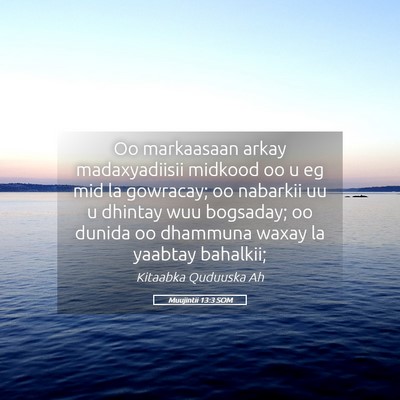 Picture 05 - Muujintii 13:3 SOM - Oo markaasaan arkay madaxyadiisii midkood oo u eg - Bible Verse Picture