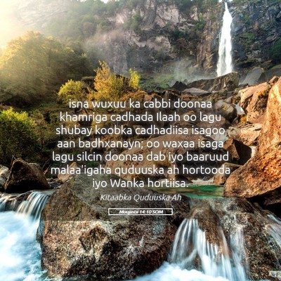 Picture 05 - Muujintii 14:10 SOM - isna wuxuu ka cabbi doonaa khamriga cadhada Ilaah - Bible Verse Picture