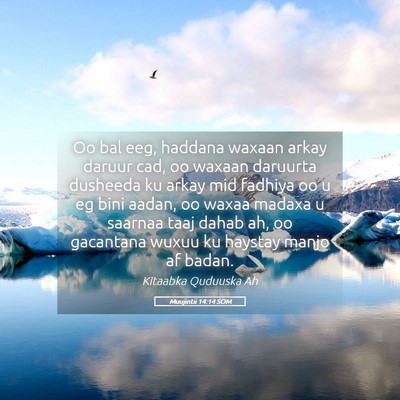 Picture 05 - Muujintii 14:14 SOM - Oo bal eeg, haddana waxaan arkay daruur cad, oo - Bible Verse Picture