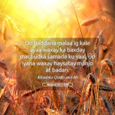 Picture 05 - Muujintii 14:17 SOM - Oo haddana malaa'ig kale ayaa waxay ka baxday - Bible Verse Picture