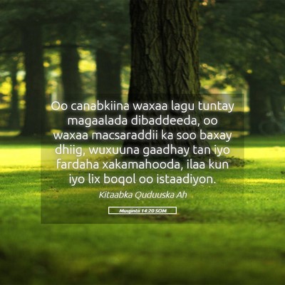 Picture 05 - Muujintii 14:20 SOM - Oo canabkiina waxaa lagu tuntay magaalada - Bible Verse Picture