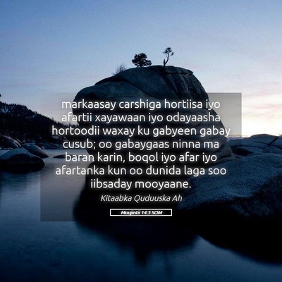 Picture 05 - Muujintii 14:3 SOM - markaasay carshiga hortiisa iyo afartii xayawaan - Bible Verse Picture
