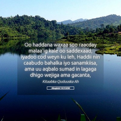 Picture 05 - Muujintii 14:9 SOM - Oo haddana waxaa soo raacday malaa'ig kale oo - Bible Verse Picture