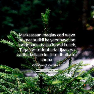 Picture 05 - Muujintii 16:1 SOM - Markaasaan maqlay cod weyn oo macbudkii ka - Bible Verse Picture