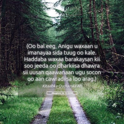 Picture 05 - Muujintii 16:15 SOM - (Oo bal eeg, Anigu waxaan u imanayaa sida tuug oo - Bible Verse Picture