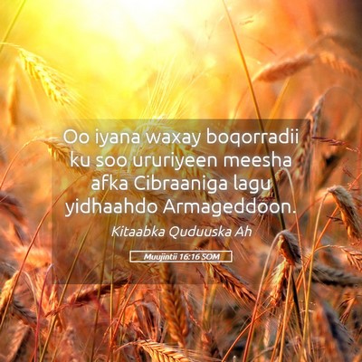 Picture 05 - Muujintii 16:16 SOM - Oo iyana waxay boqorradii ku soo ururiyeen meesha - Bible Verse Picture