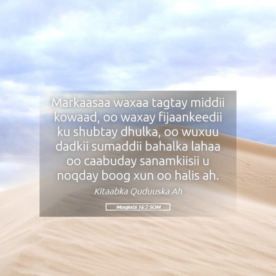 Picture 05 - Muujintii 16:2 SOM - Markaasaa waxaa tagtay middii kowaad, oo waxay - Bible Verse Picture