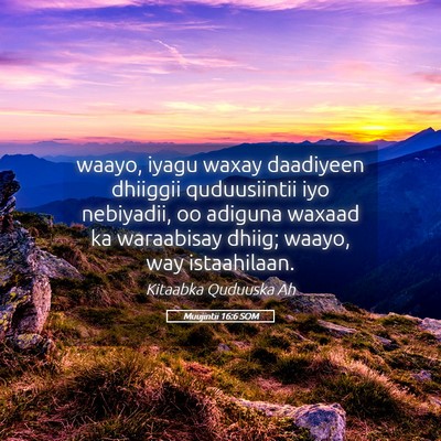 Picture 05 - Muujintii 16:6 SOM - waayo, iyagu waxay daadiyeen dhiiggii - Bible Verse Picture