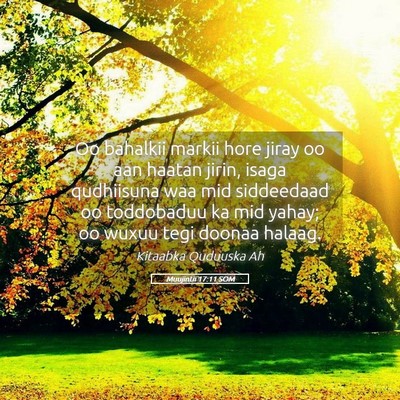 Picture 05 - Muujintii 17:11 SOM - Oo bahalkii markii hore jiray oo aan haatan - Bible Verse Picture