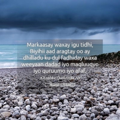 Picture 05 - Muujintii 17:15 SOM - Markaasay waxay igu tidhi, Biyihii aad aragtay oo - Bible Verse Picture