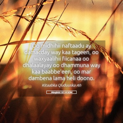 Picture 05 - Muujintii 18:14 SOM - Oo midhihii naftaadu ay damacday way kaa tageen, - Bible Verse Picture